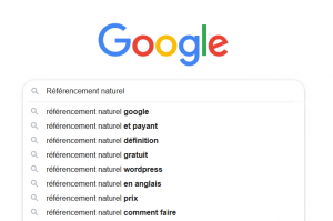 Référencement SEO